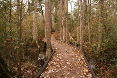 Big Thicket National Preserve