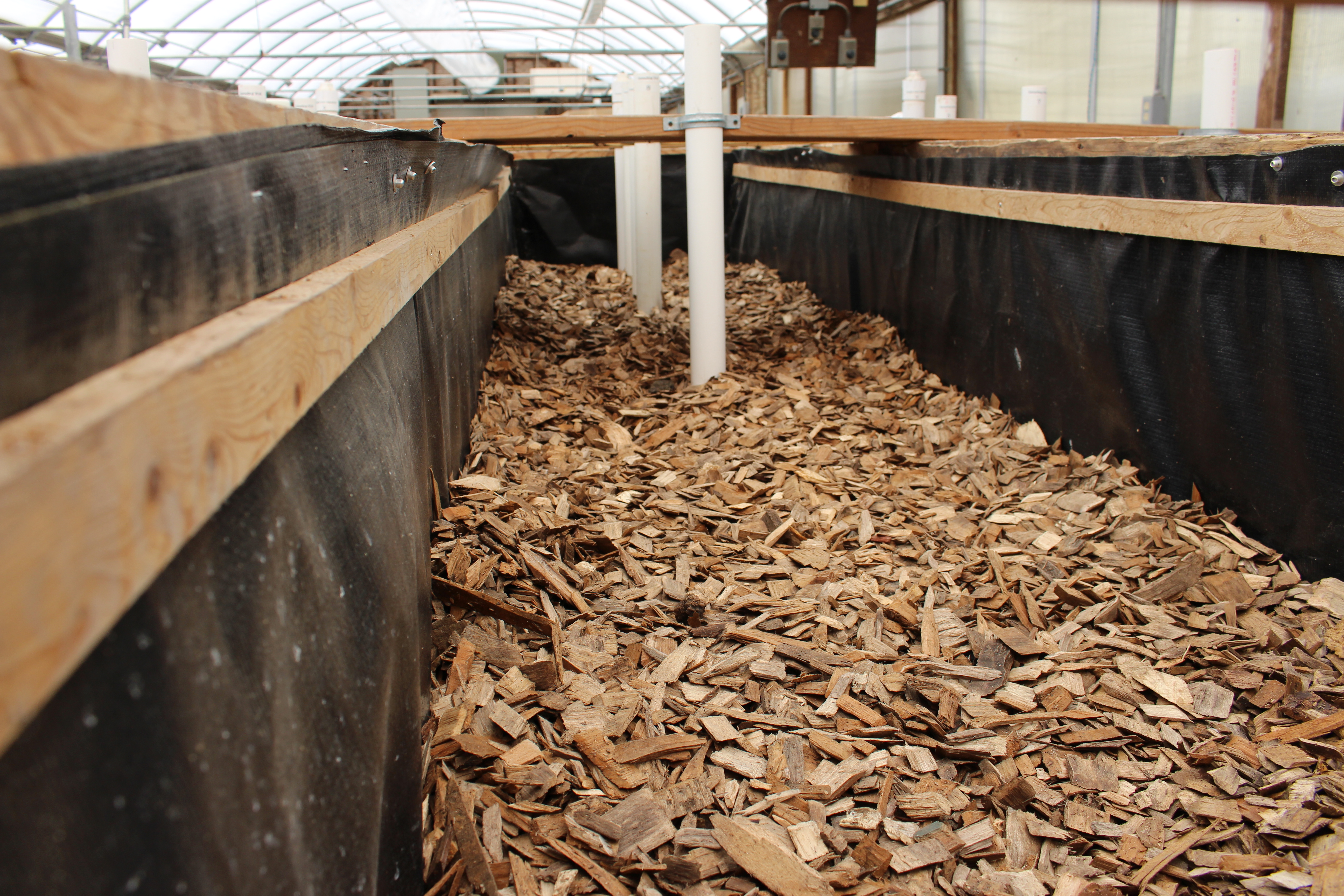 Woodchip Bioreactor Research
