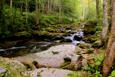 Rocky Fork, Tennessee—completely protected for generations to enjoy