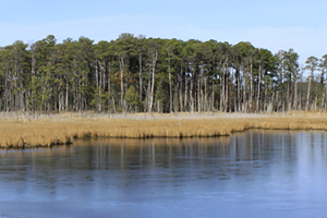 Waterways and Watersheds