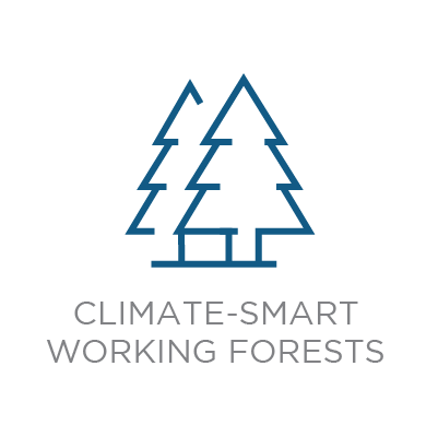 Climate Smart Working Forests