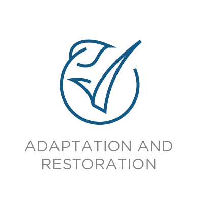 Adaptation and Restoration